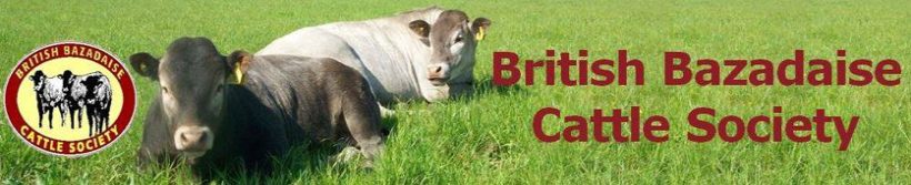 British Bazadaise Cattle Society